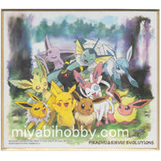 Pokemon Shikishi Art Boards #1-14 Pikachu And Eevee Friends
